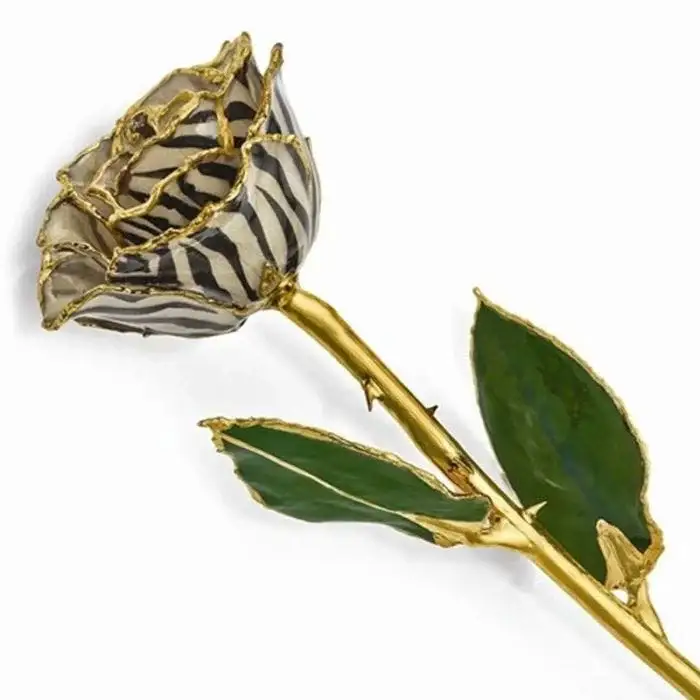 Gold Dipped Cream & Black Zebra Print Rose with Lacquer Coating