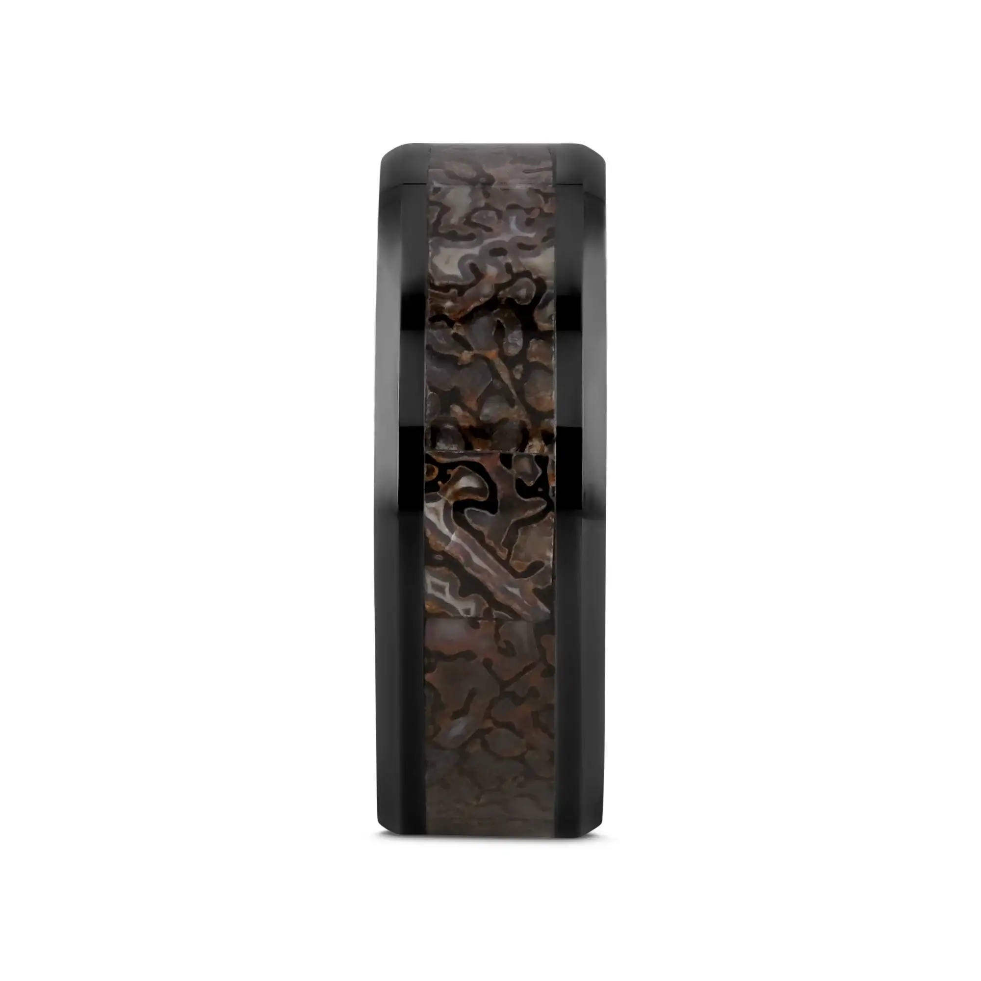 SILURIAN Dinosaur Bone Inlaid Black Ceramic Beveled Edged Ring - 4mm or 8mm - Image 2